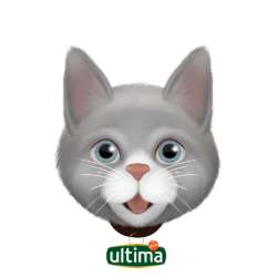PETmoji APP: Create emojis and stickers for your dog or cat. | Ultima