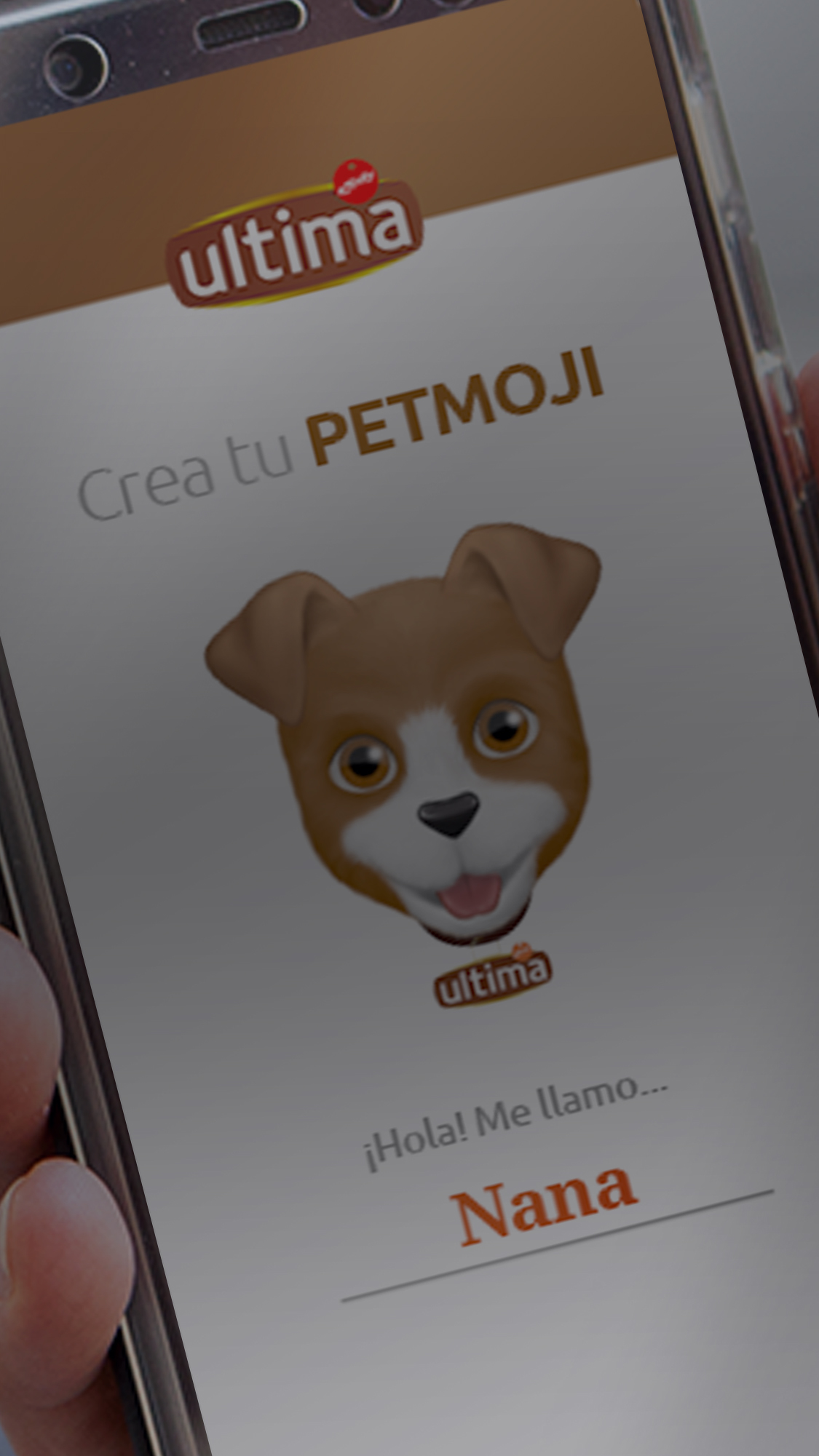 Welcome to your PETmoji Creator! Choose between dog or cat, personalise its details and share it on WhatsApp.